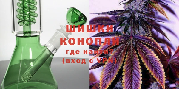 стафф Верхний Тагил