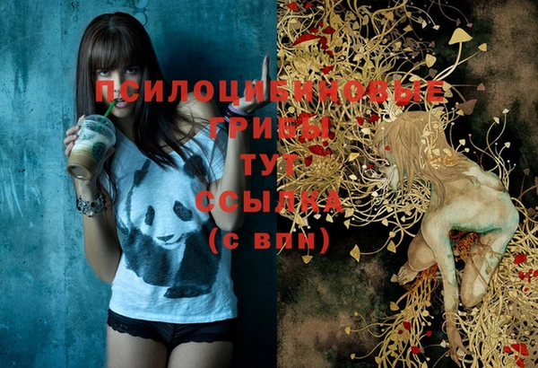 стафф Верхний Тагил